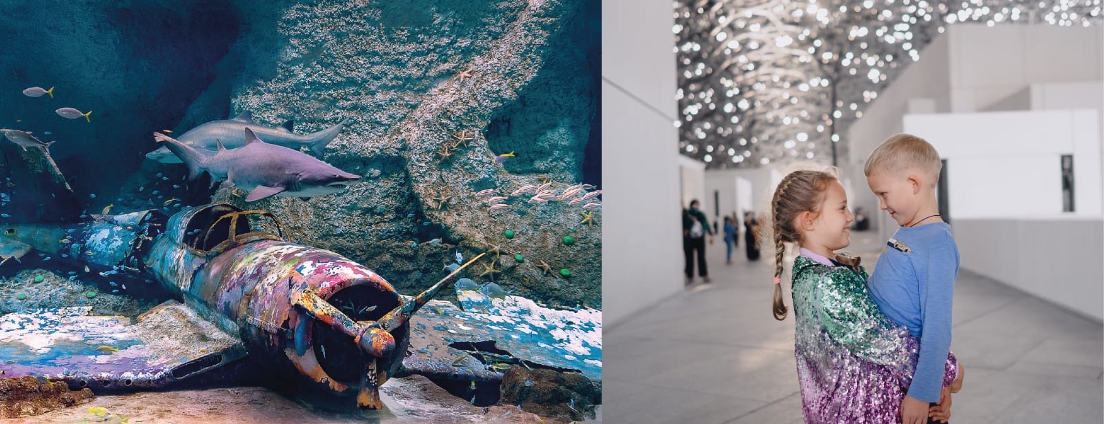 The National Aquarium + Louvre Abu Dhabi – Combo – Combos and more adventures The National Aquarium + Louvre Abu Dhabi – Combo – Combos and more adventures