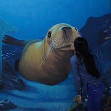 3d World Selfie Museum Dubai – Museums 3d World Selfie Museum Dubai Museums