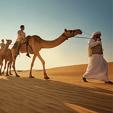 Camel Trekking Experience In Abu Dhabi With Transfers In Land Cruiser – Top-Rated Attractions Camel Trekking Experience In Abu Dhabi With Transfers In Land Cruiser Top-Rated Attractions