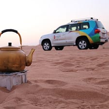 Sunrise and Wildlife Experience in the Desert – Desert safaris Sunrise and Wildlife Experience in the Desert Desert safaris