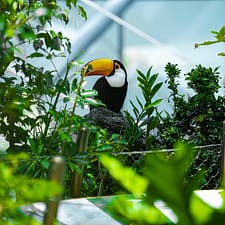 The Green Planet Dubai Theme Parks