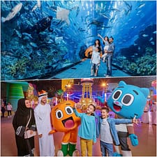 IMG Park + Dubai Aquarium - Combo Combos and more adventures