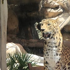 Emirates Park Zoo – Experiences Emirates Park Zoo Experiences