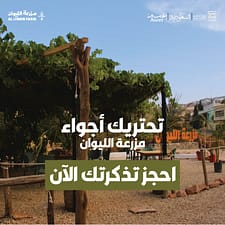 Liwan Farm in Abha – Arabic Events Liwan Farm in Abha Arabic Events