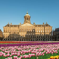 Royal Palace Amsterdam (Koninklijk Paleis): Entry Ticket Recently Added Experiences