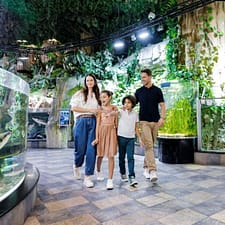 Dubai Aquarium & Underwater Zoo – Ultimate Experience – Experiences Dubai Aquarium & Underwater Zoo - Ultimate Experience Experiences