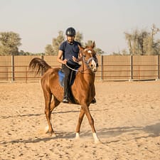 Horse Riding At Mleiha Arena Sports Events
