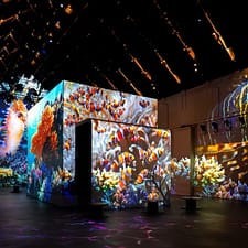 Fabrique des Lumières: The Sea Recently Added Experiences