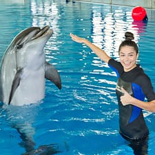 Swimming With Dolphins – Dubai Dolphinarium – Dubai Dolphinarium Swimming With Dolphins - Dubai Dolphinarium Dubai Dolphinarium