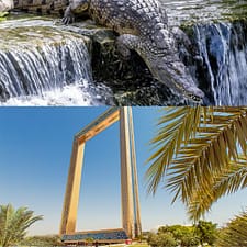 Crocodile Park Special Offer Combos – Upto 30% OFF – Attractions Special Offers Crocodile Park Special Offer Combos - Upto 30% OFF Attractions Special Offers