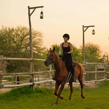 Horse Riding with Open Buffet Dinner & Shows – Desert safaris Horse Riding with Open Buffet Dinner & Shows Desert safaris