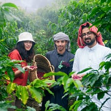 From Arabica to Arabian – Coffee Experience at a local farm – Recently Added Experiences From Arabica to Arabian – Coffee Experience at a local farm Recently Added Experiences