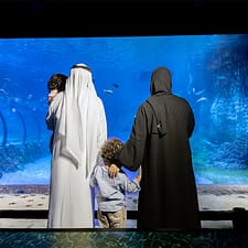 The National Aquarium Abu Dhabi – Experiences The National Aquarium Abu Dhabi Experiences