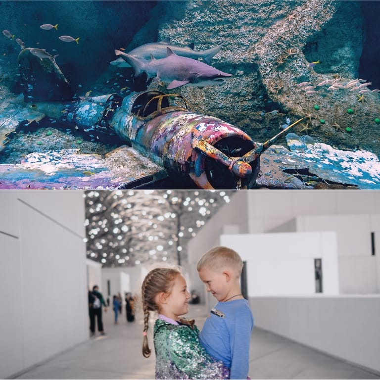 The National Aquarium + Louvre Abu Dhabi – Combo – Combos and more adventures The National Aquarium + Louvre Abu Dhabi - Combo Combos and more adventures