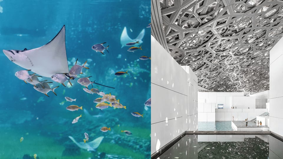 The National Aquarium + Louvre Abu Dhabi – Combo – Combos and more adventures The National Aquarium + Louvre Abu Dhabi – Combo – Combos and more adventures