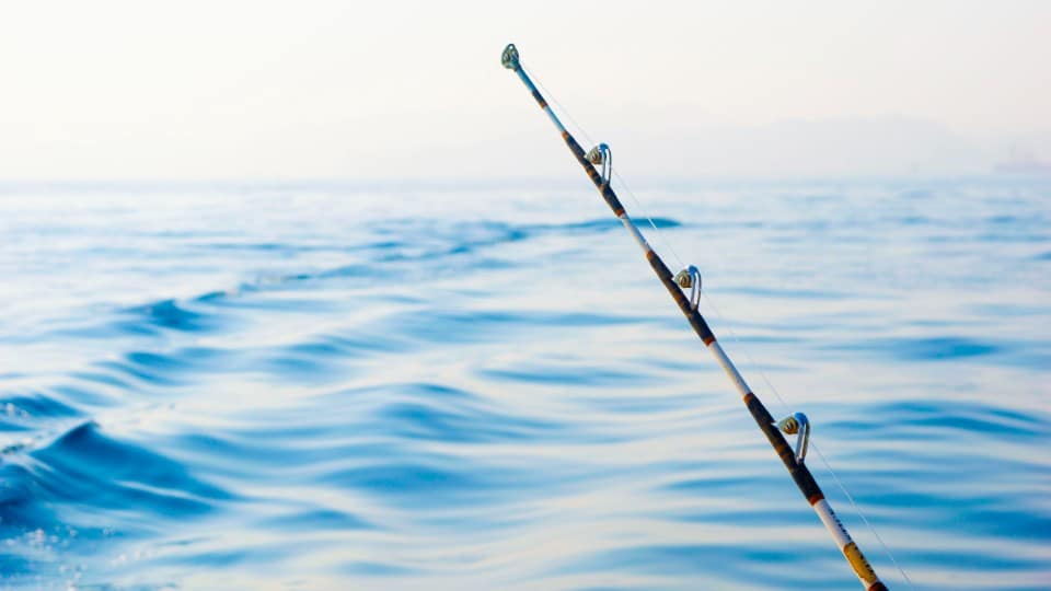 Private fishing boat tour – Sightseeing and Tours Private fishing boat tour – Sightseeing and Tours